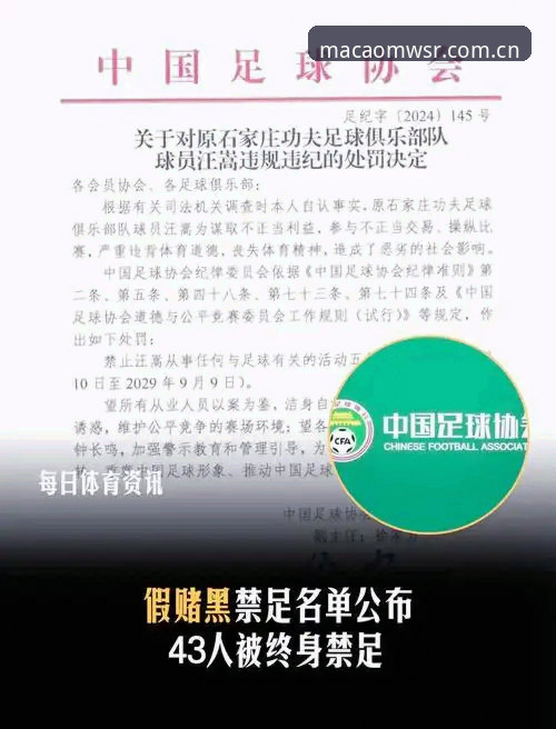 解读足球行业整顿的关键信息——从最新禁足名单看体育领域治理