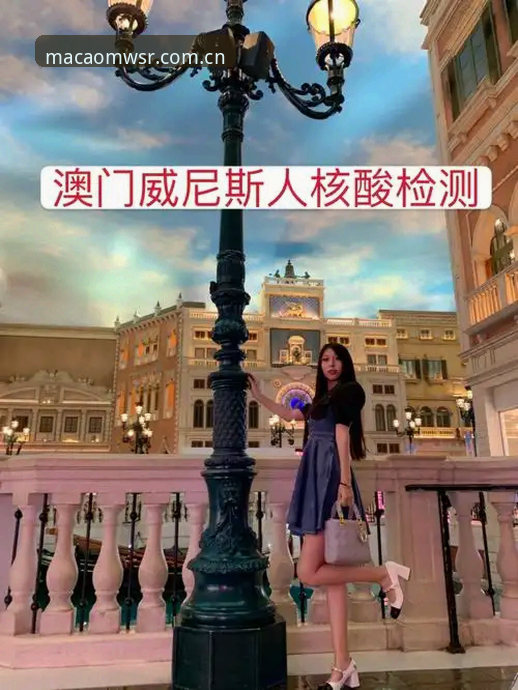 澳门威斯人公平吗使用指南：从入门到精通的完整解析